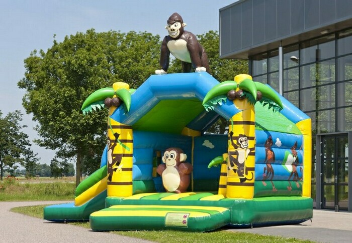 Multifun-Jungle-nw-1-940x652