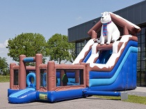 MULTIPLAY POLAR BEAR SLIDE