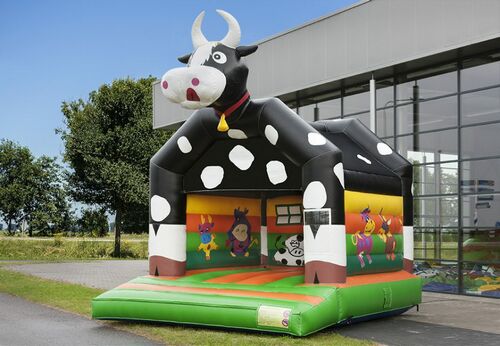 MOONWALK REGULAR COW