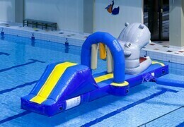 HIPPO AQUA RUN