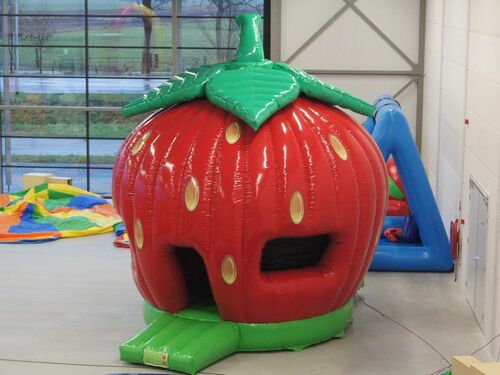 STRAWBERRY BOUNCY CASTLE