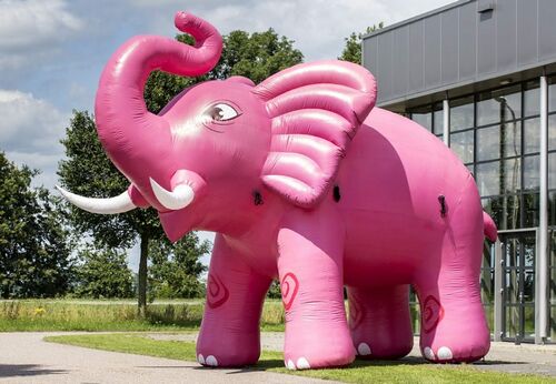 ELEPHANT