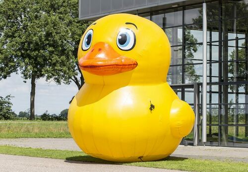 RUBBER DUCK