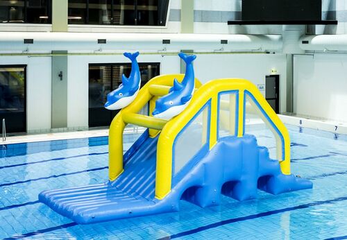 MULTISLIDE DOLPHIN