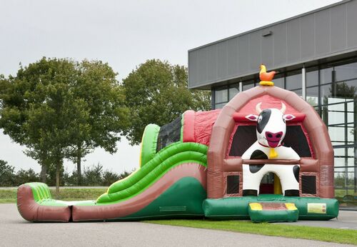 LARGE COMBO JUMPER FARM